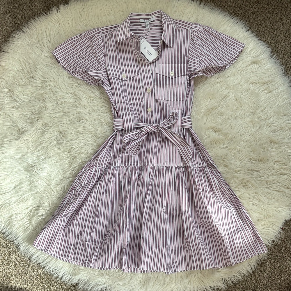 NWT Derek Lam PEI Striped Mini Shirtdress - Picture 3 of 5